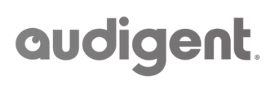 AUDIGENT